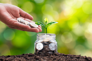 Jar of coins with a small plant appearing to grow from the coin with a hand adding more coins