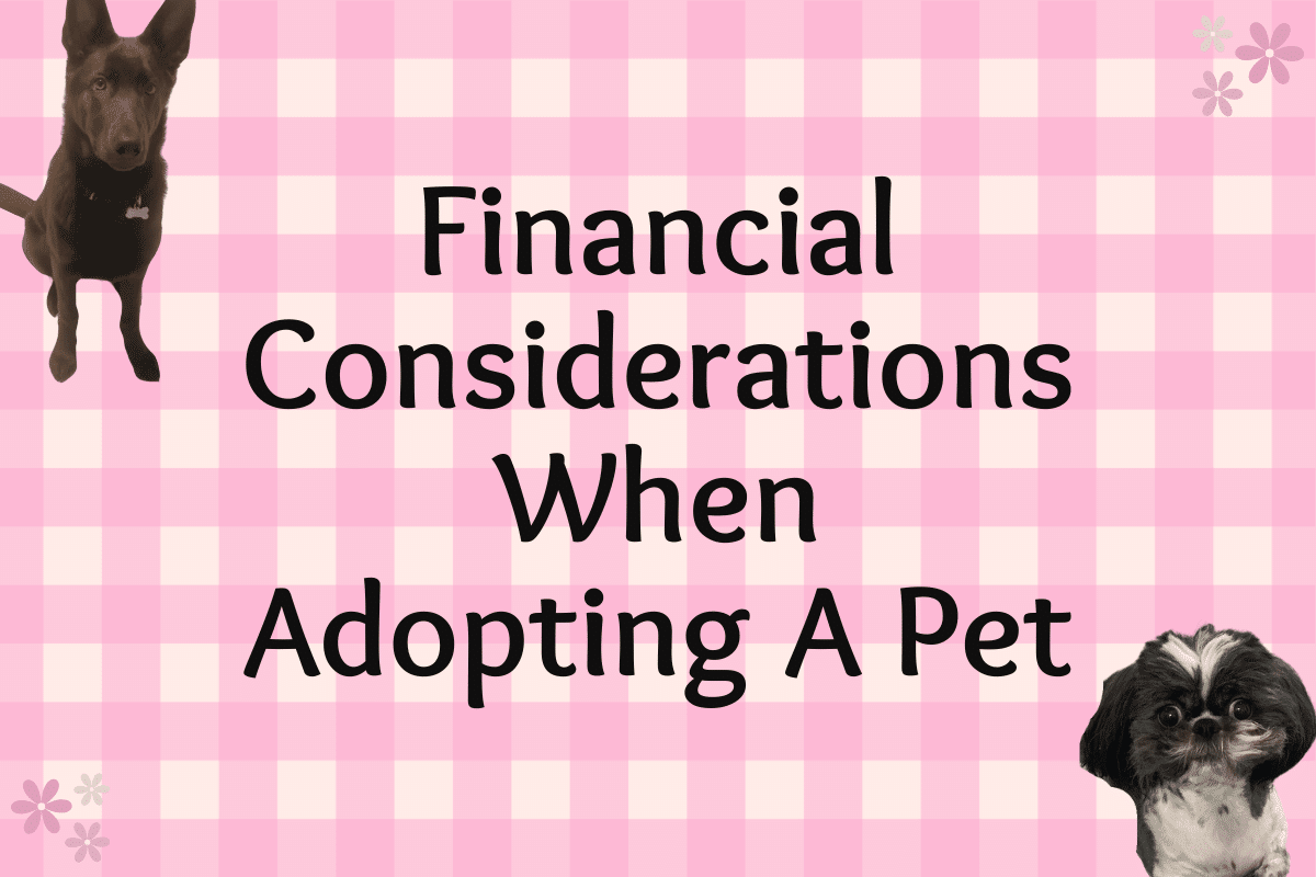 Two dogs next to the words financial considerations when adopting a pet