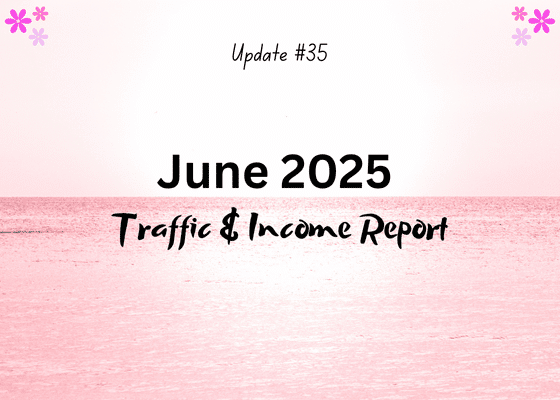 Update #35 - June 2025 Traffic and Income Report